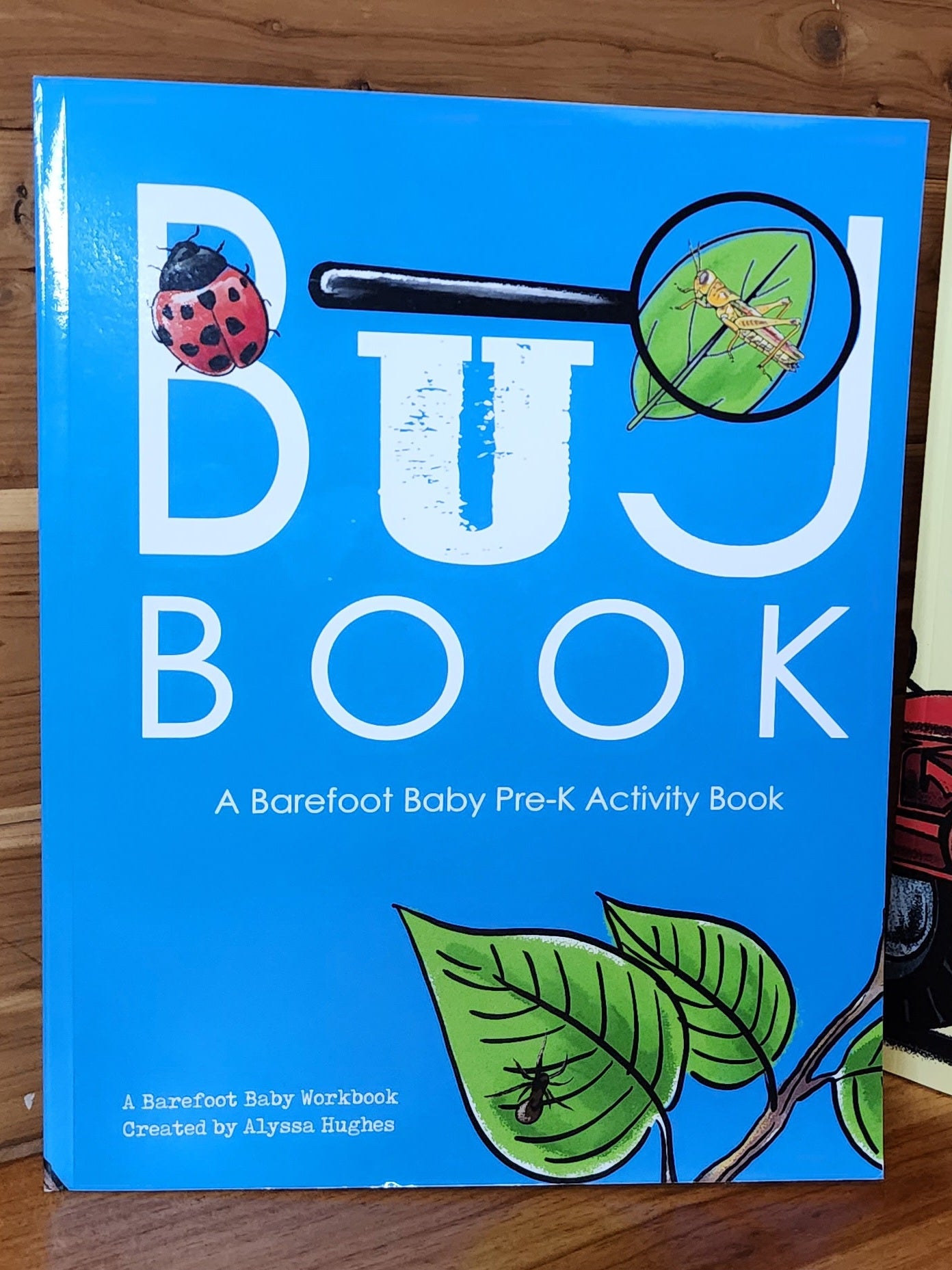 Bug Book | Bug Theme Pre-K Workbook